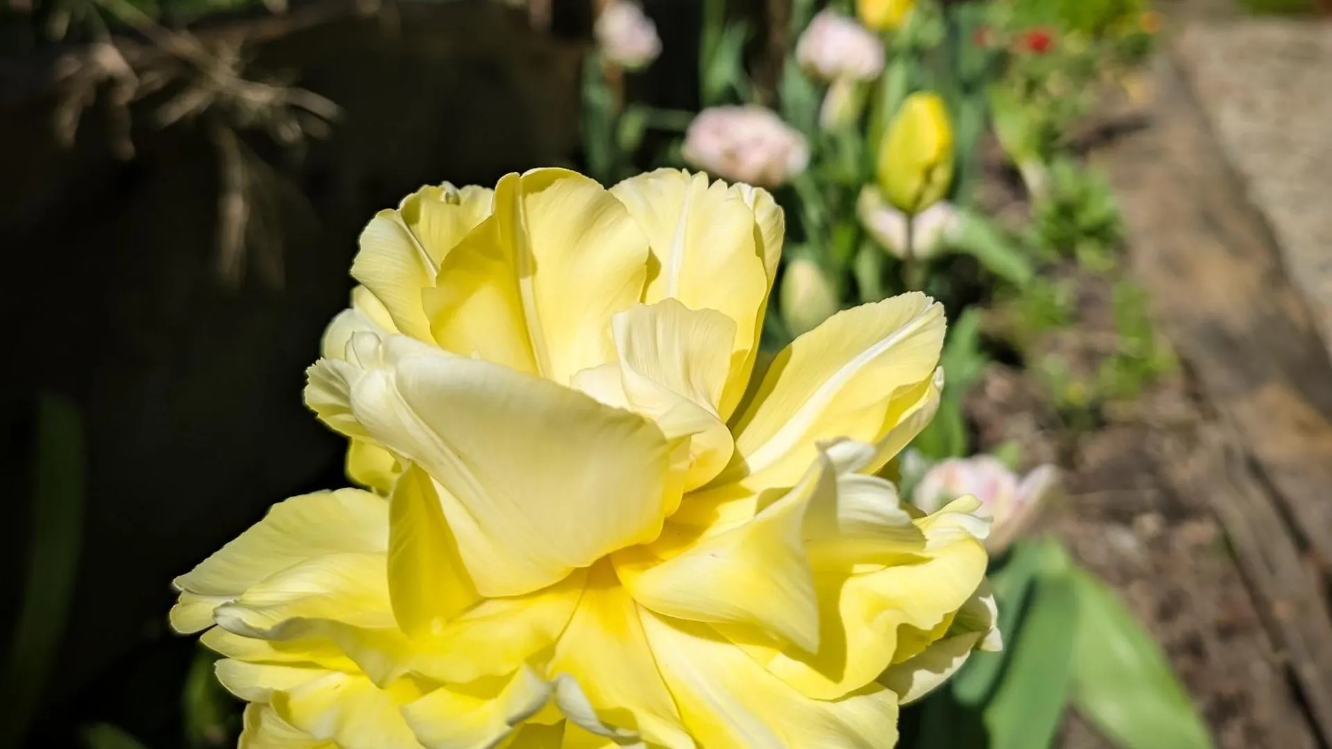 Nettledown Farms Bed & Breakfast Fulford Harbour Canada